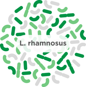 Lactobacillus rhamnosus​