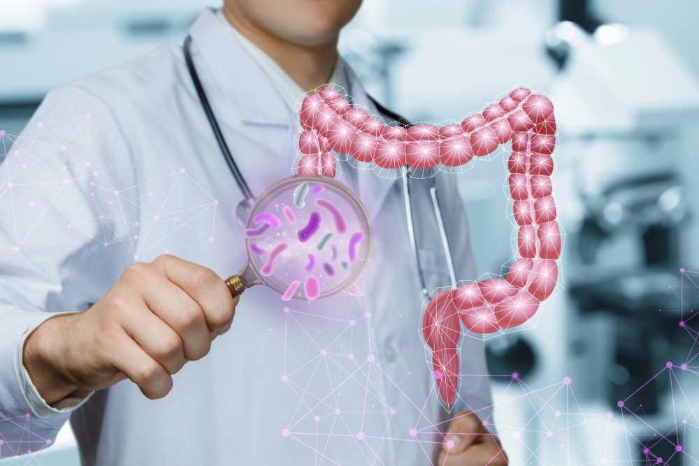 Střevní mikroflóra - jak funguje?